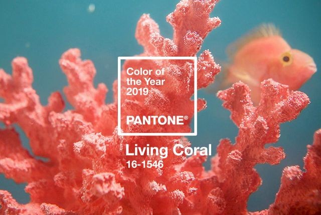 PANTONE 16-1546 Living Coral