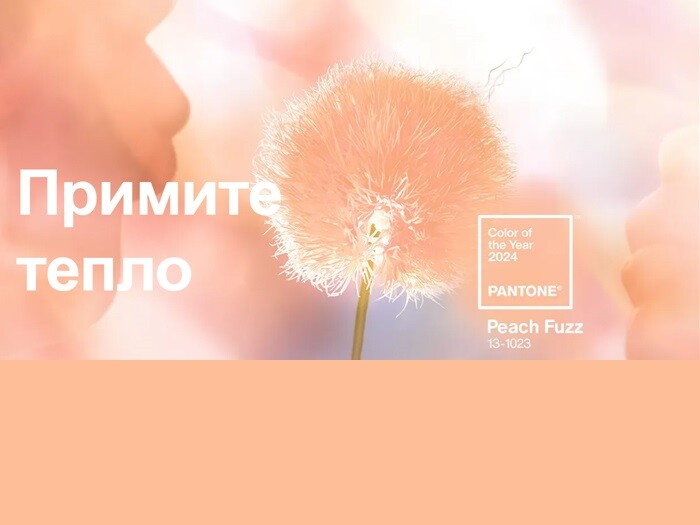 Институт цвета Pantone назвал цвет 2024 года. Им стал 13-1023 Peach Fuzz – персиковый 